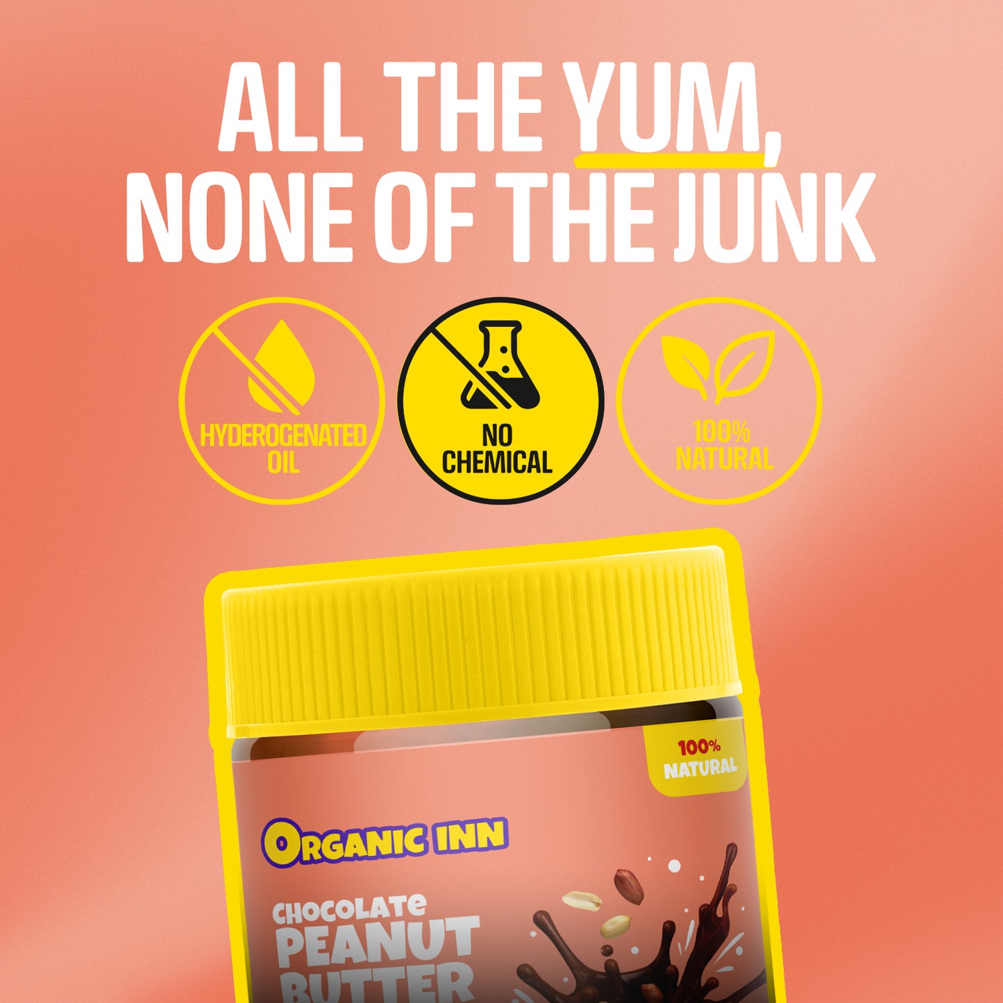 Chocolate Peanut Butter (Creamy) - 500 G