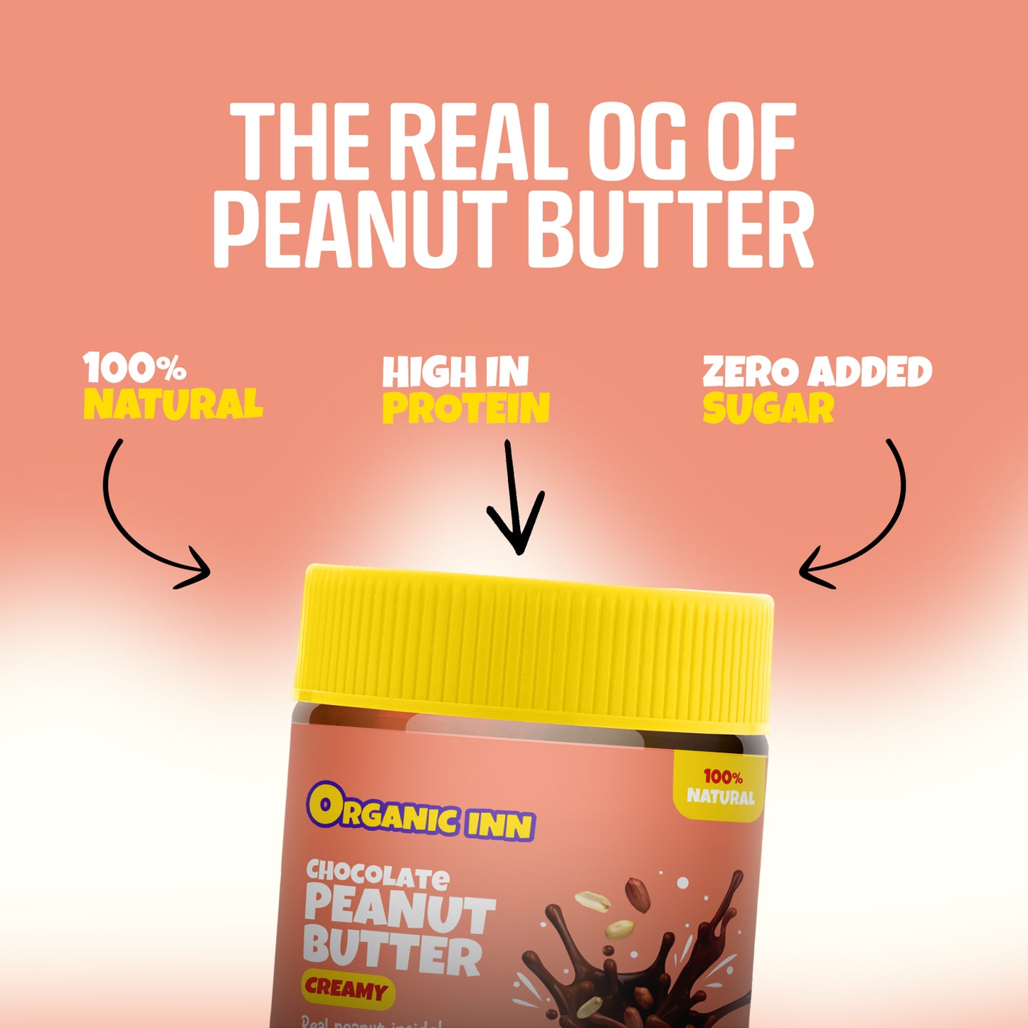 Chocolate Peanut Butter (Creamy) - 500 G