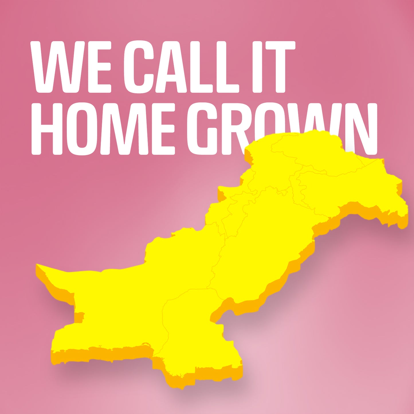 Organic Inn Very Berry Oats - Made in Pakistan